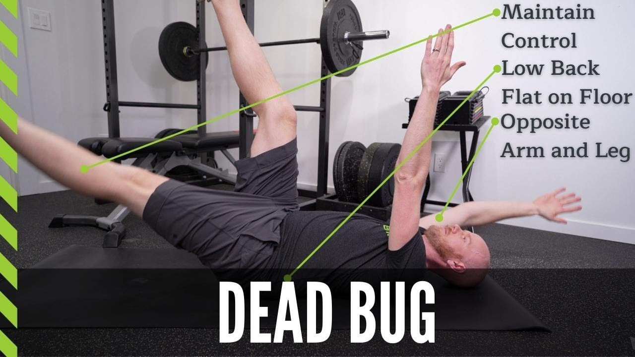 Dead Bug for Runners