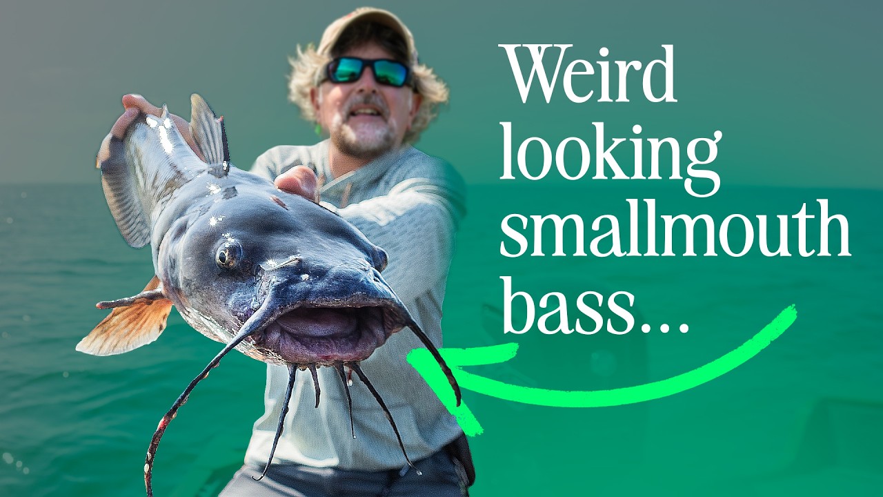 Smallmouth Fishing on Lake Erie... Didn't Go As Expected!