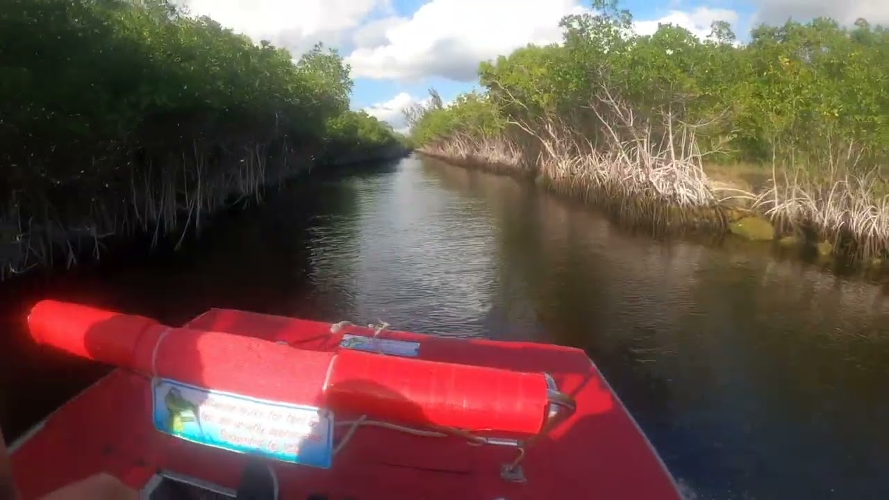 Mangrove Forest Air Boat Ride in the Florida Everglades | Captain Jacks