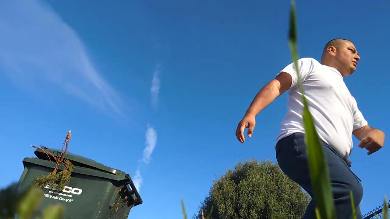 Primer tutorial del mes de marzo de cómo sacar los botes verdes a la calle 12 de marzo del 2026