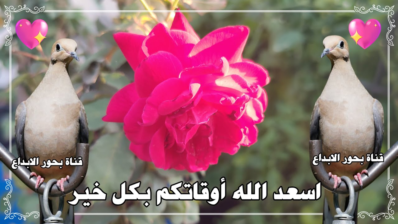 اللهم يافارج الهم وياكاشف الغم فرج همي ويسير امري وأرحم ضعفي وقله حيلتي
