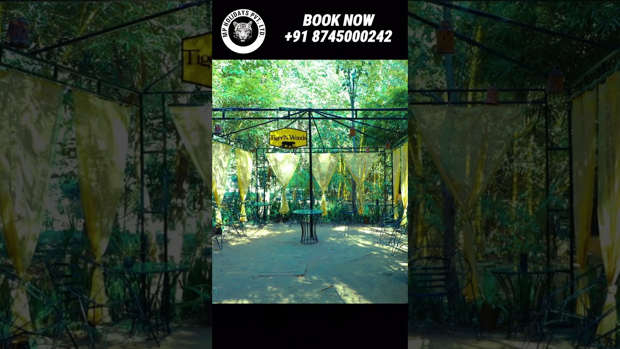 Tiger N Woods Pench Review | Rooms, Pool & Tiger Safari Stay 🌿  #mpholidays #travel