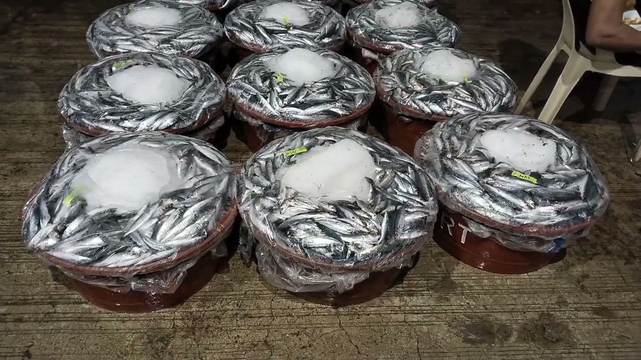 Fishfort urdaneta