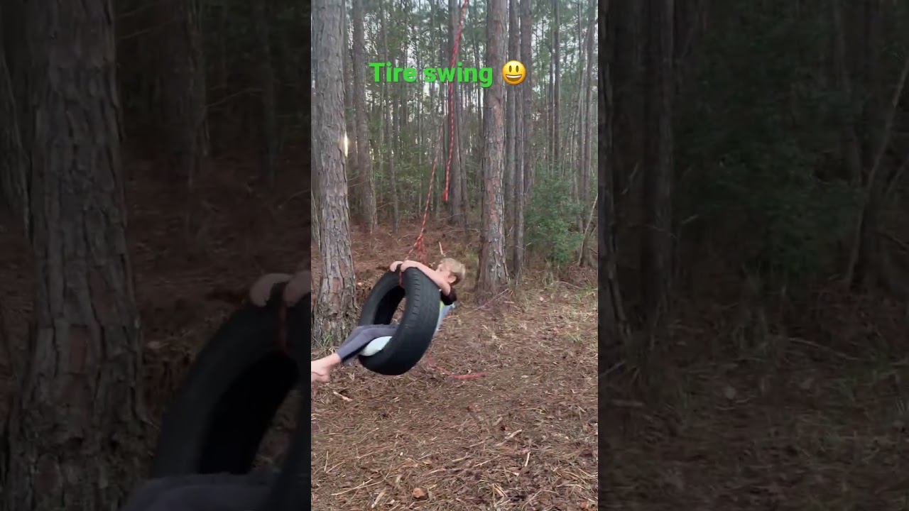Tire swing