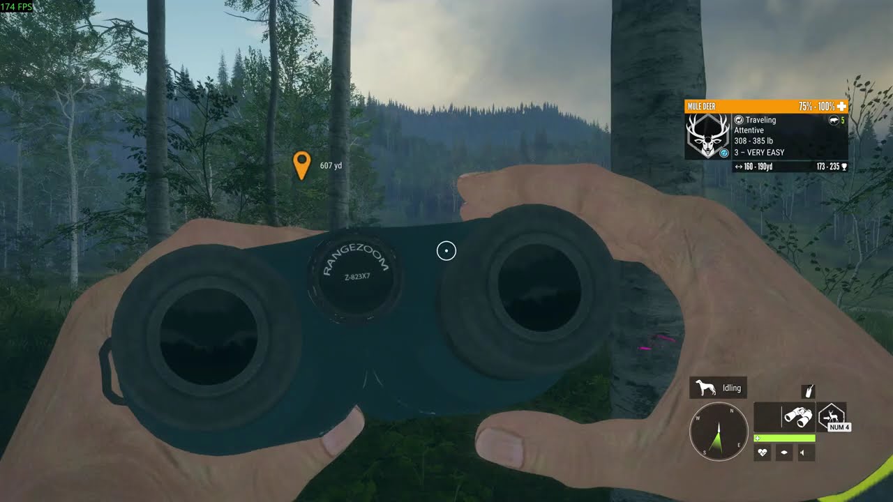 theHunter  Call of the Wild Roaming
