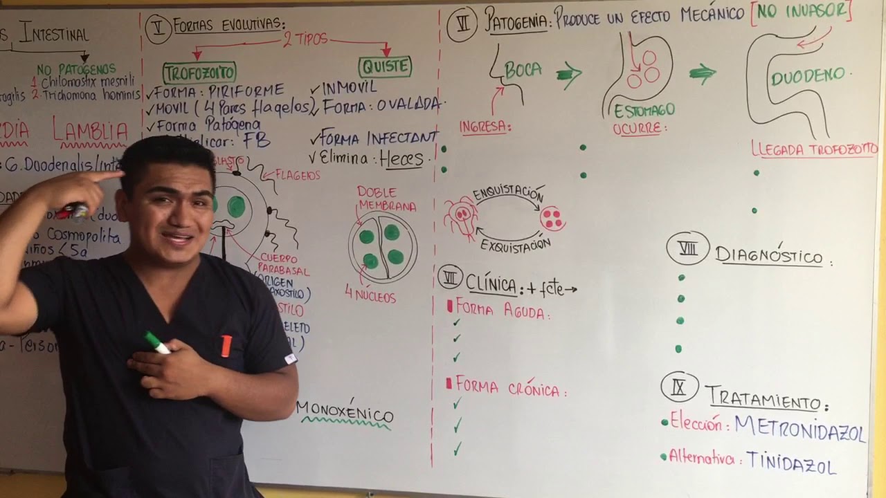 GIARDIASIS / FLAGELADOS - IPANA