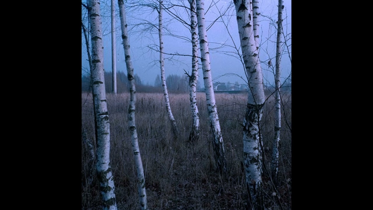 (FREE) nokia angel + witch house + experimental ambiant type beat - 