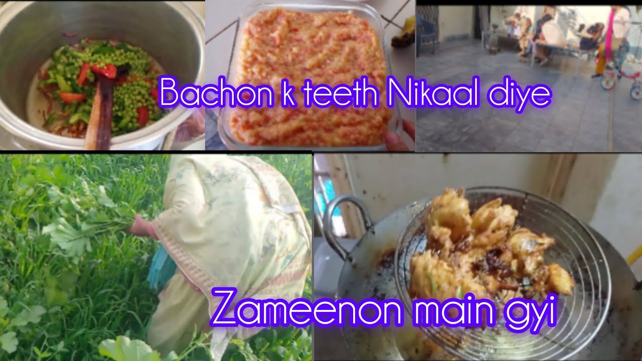 Dadi ama ko gye 8 sal ho gye || Allah hum sab ka maika Salamat rakhay || garam pakoray