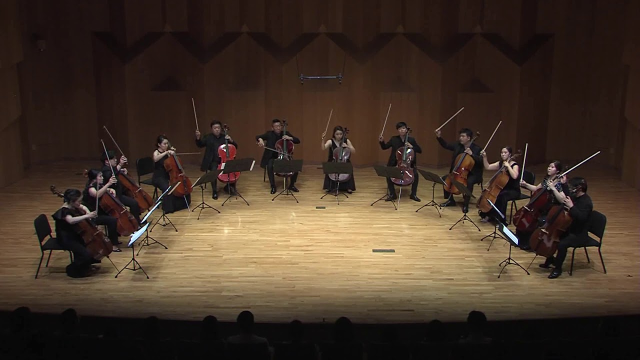 Cellista Cello Ensemble (Korean top 12 cellists) Tchaikovsky 'Swan Lake' Suite