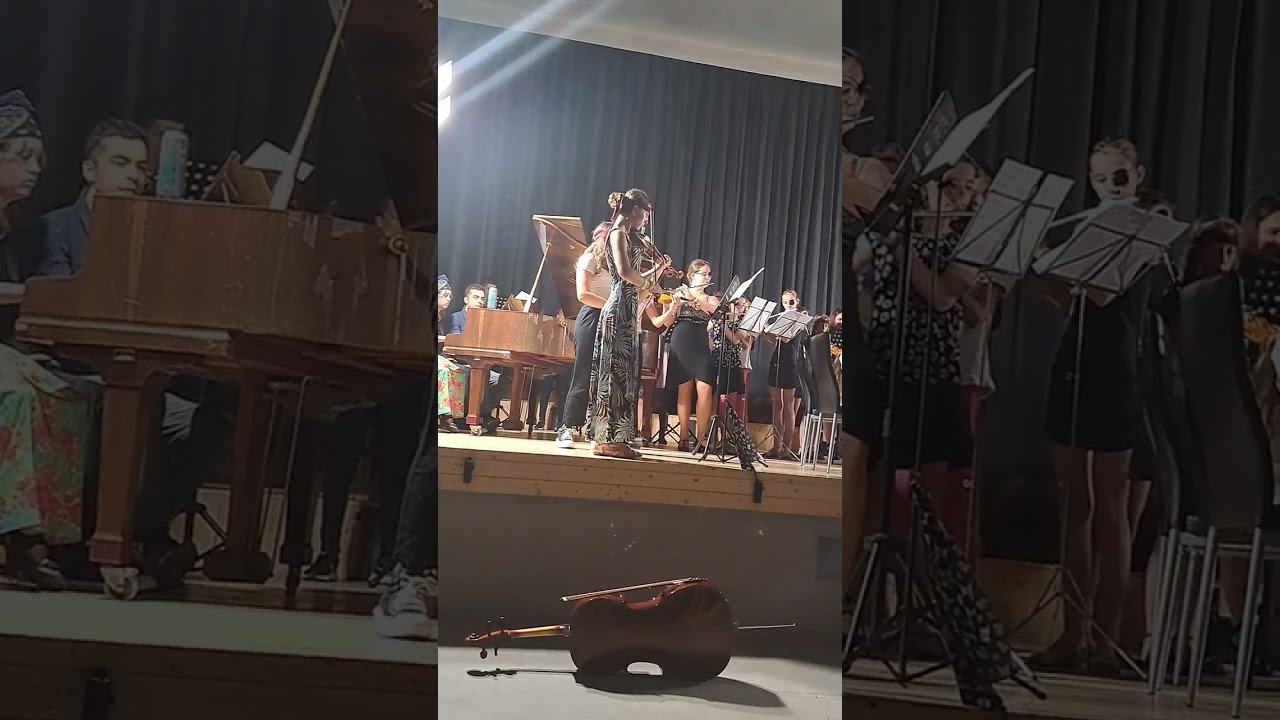 Csongr&aacute;di zenei t&aacute;bor z&aacute;r&oacute;koncert .Nagyzenekar