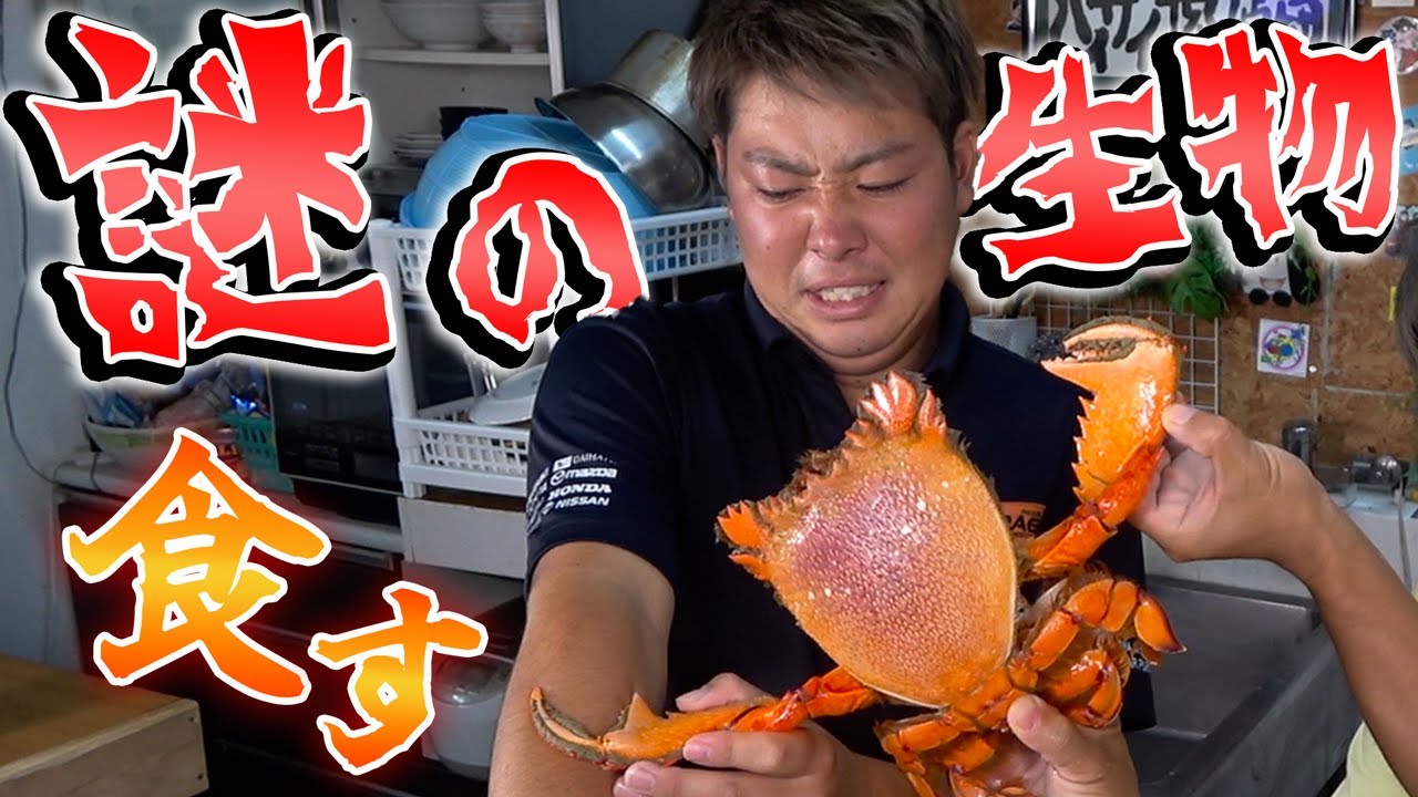 進化途中？謎の生物を食べる！！