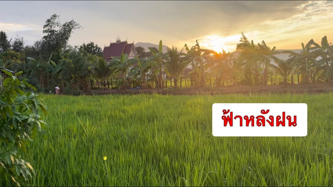 หลังฝนหยุด บรรยากาศดีมาก
