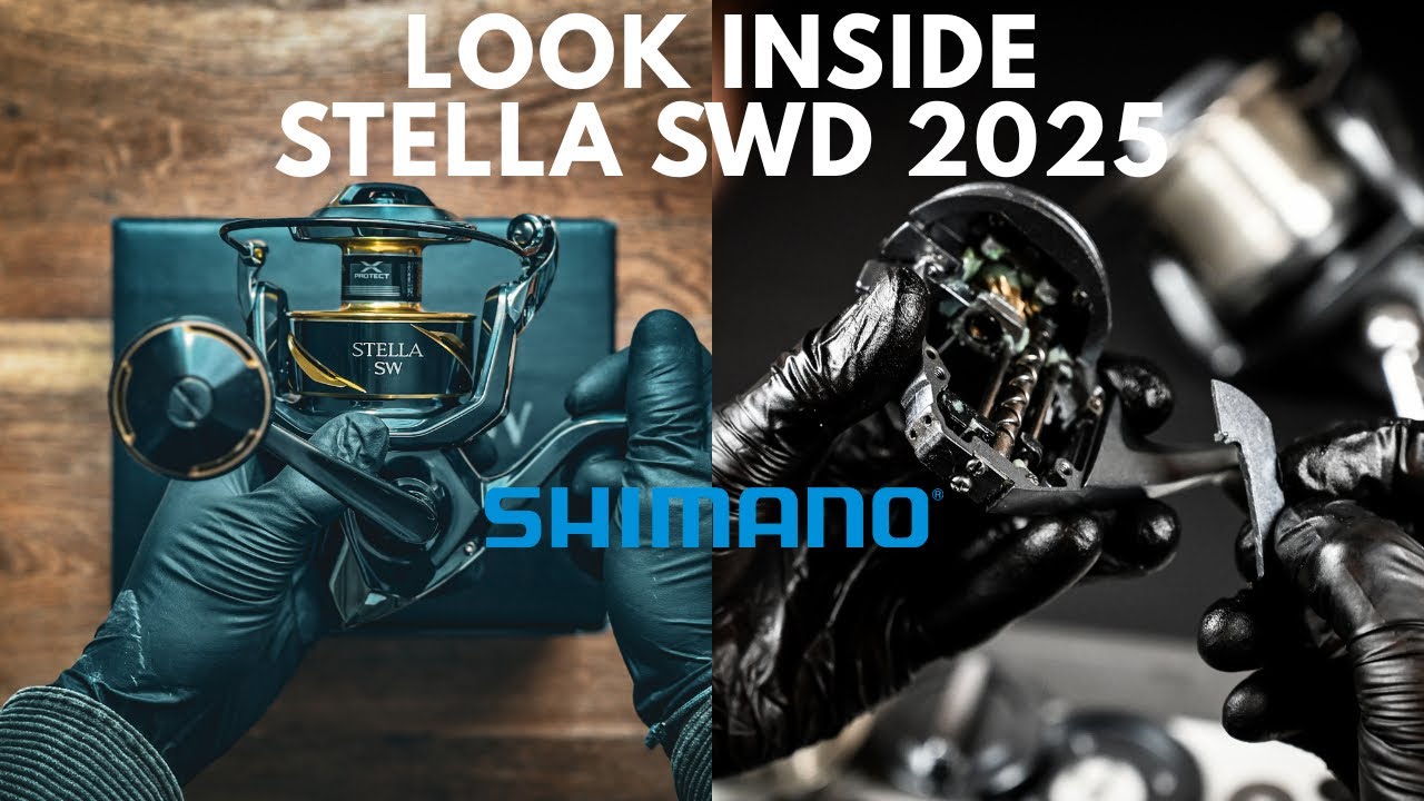 | SHIMANO STELLA SWD 2025 - Die krasseste Stella SW ever? Inside the reel Review by CK Rollenwartung