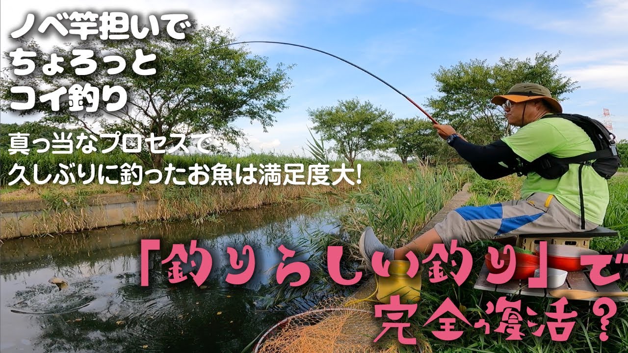 【のべ竿担いで】「釣りらしい釣り」で完全復活？@千葉県・南部手賀沼の西側の水路【ちょろっとコイ釣り】