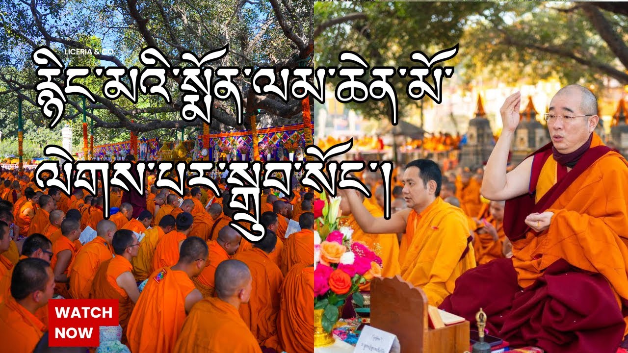 LAST DAY NYINGMA  MONLAM 🙏🏻🙏🏻🙏🏻2/7/2025/ Tibetan Vlogger ||
