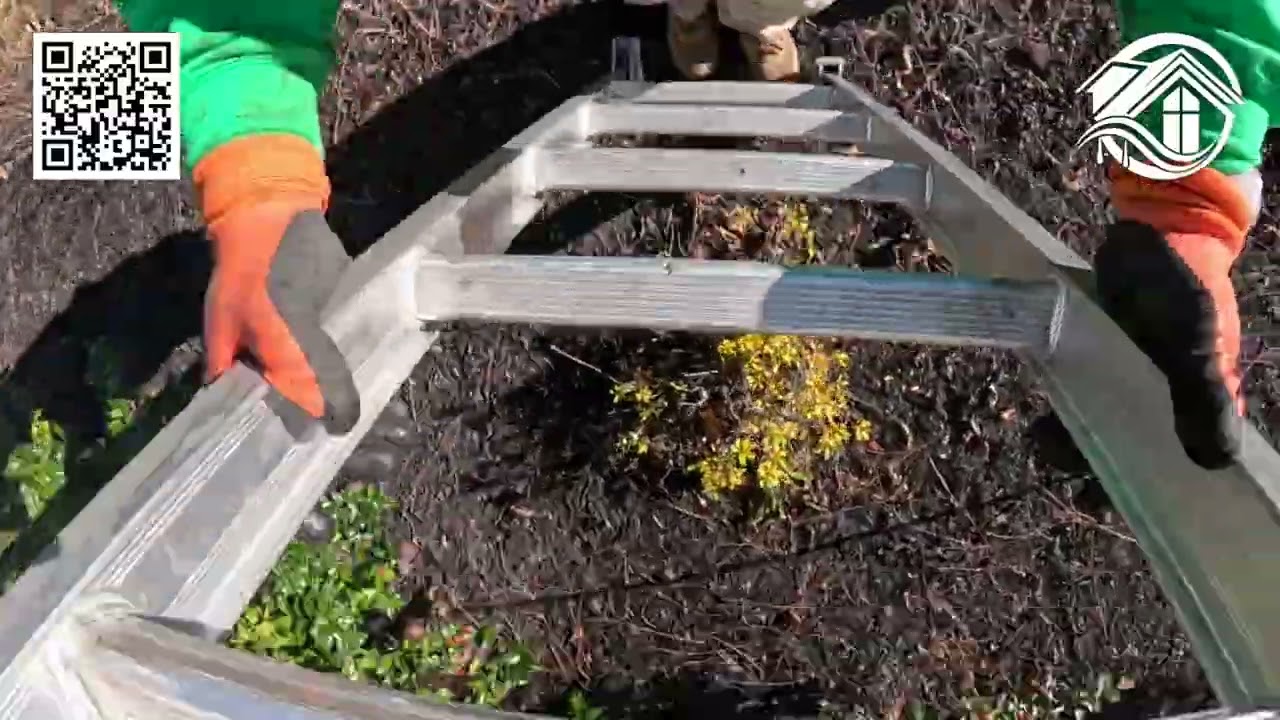 The Stick Collector - ClearFlow Gutter Cleaning
