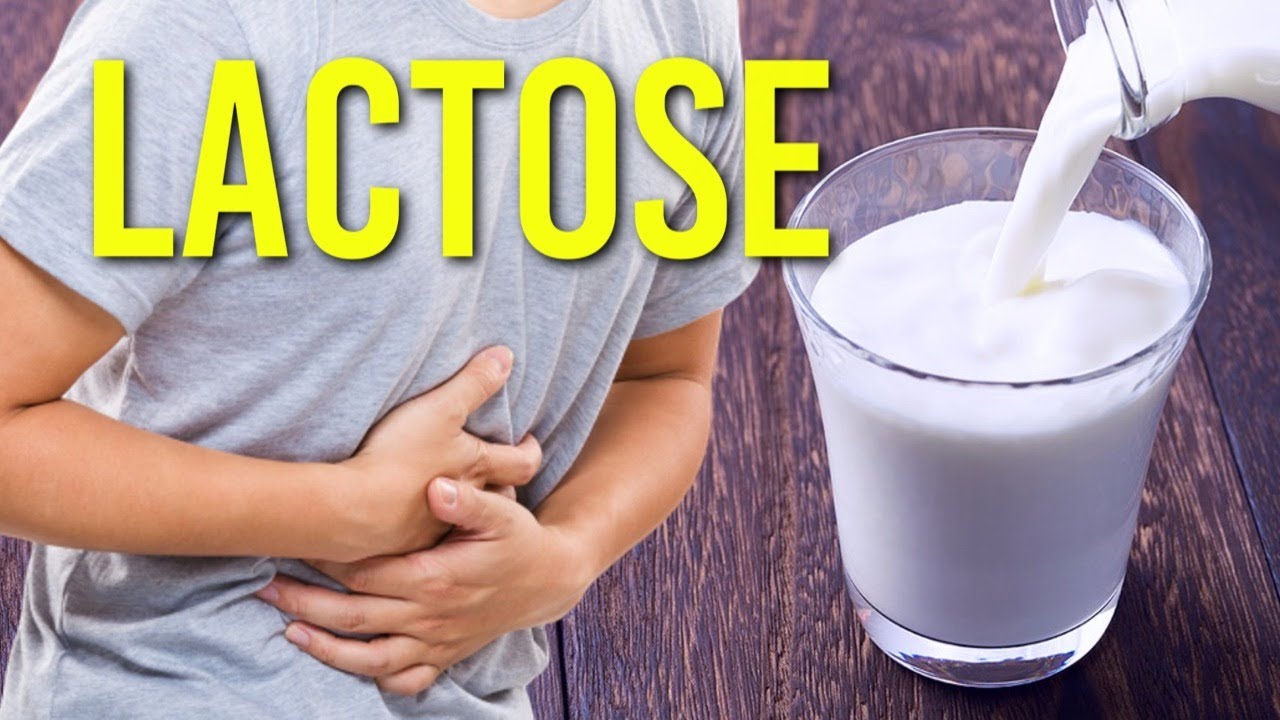 INTOLERÂNCIA À LACTOSE: O QUE VOCÊ PRECISA SABER