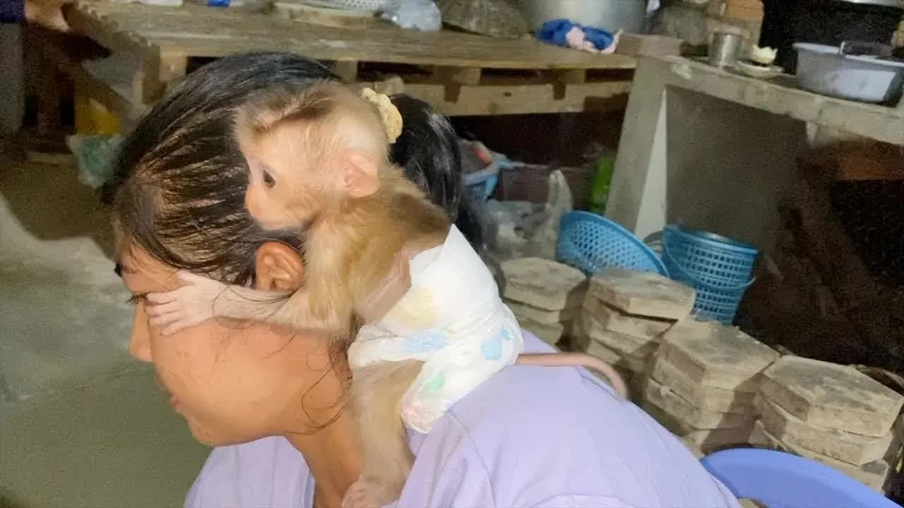 Strong Bond BB DAM Sit On Mom's Shoulder Accompany Mom Working