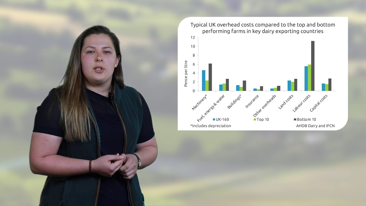 Dairy Market Update 01/05/19