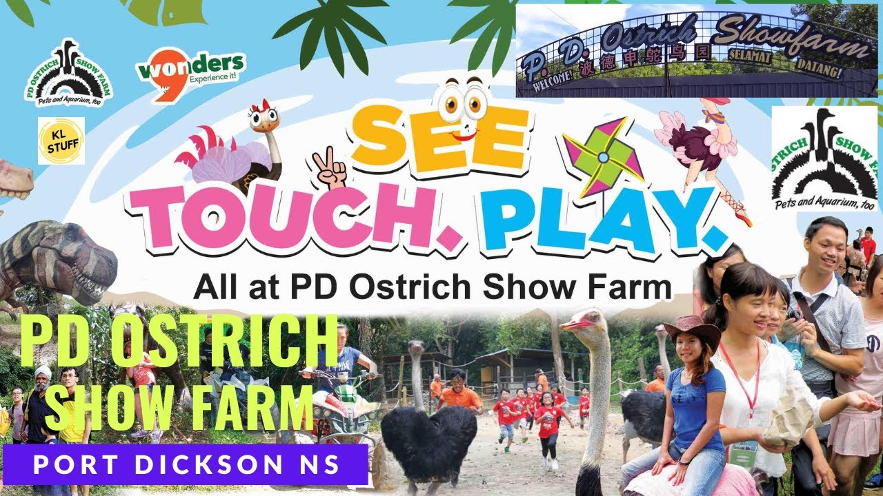 PD Ostrich Show Farm, Port Dickson NS | Farm Tour