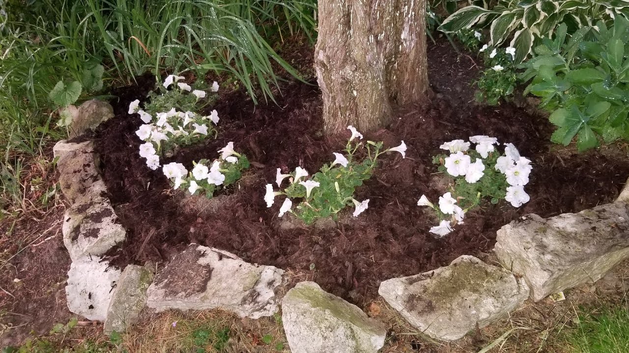 Planting a Sun/Shade Flowerbed and Container