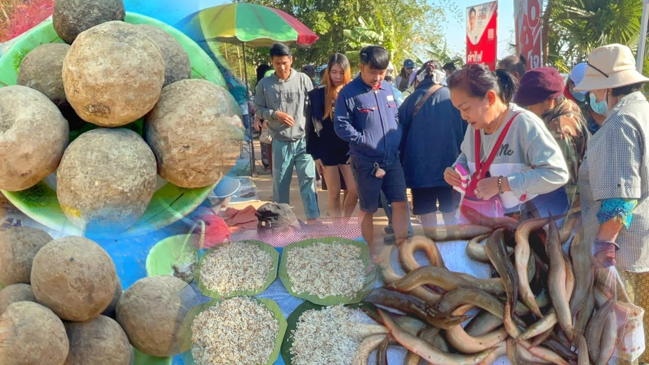 ปลาลด ตัวเหนี้ยว #ตลาดนัดไทย-ลาว บ้านหนาด จ.นครพนม ไข่เบ้า อาหารอีสานของป่า #ตลาดสด  #เลาะตลาด 