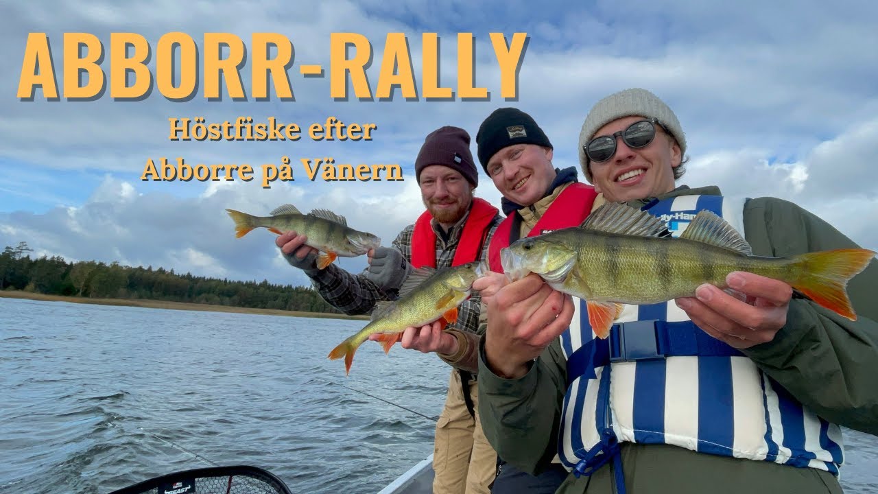 Abborr-rally på Vänern (bästa någonsin)