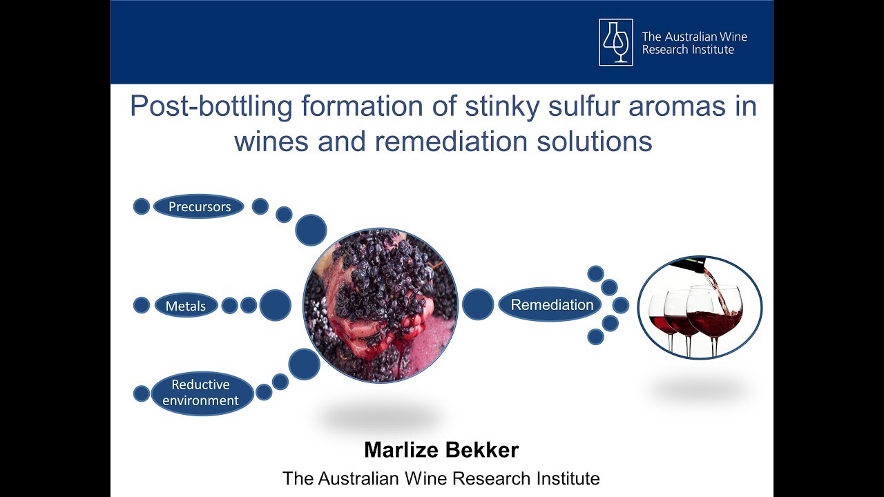 The formation and remediation of stinky sulfur aromas in wines