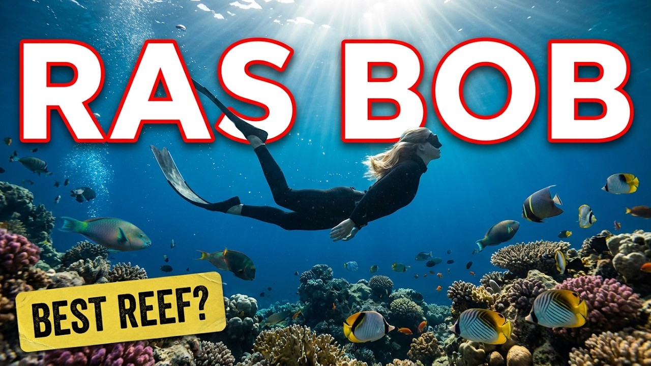 Freediving | Sharm-el-Sheikh | Ras Bob Reef 2022