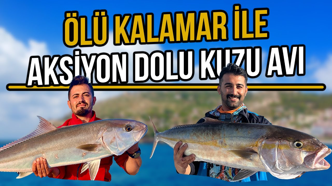 Ölü Kalamar ile Dev Kuzular Tuttuk !! Alanya | VARSA ALIRIZZZ!!!