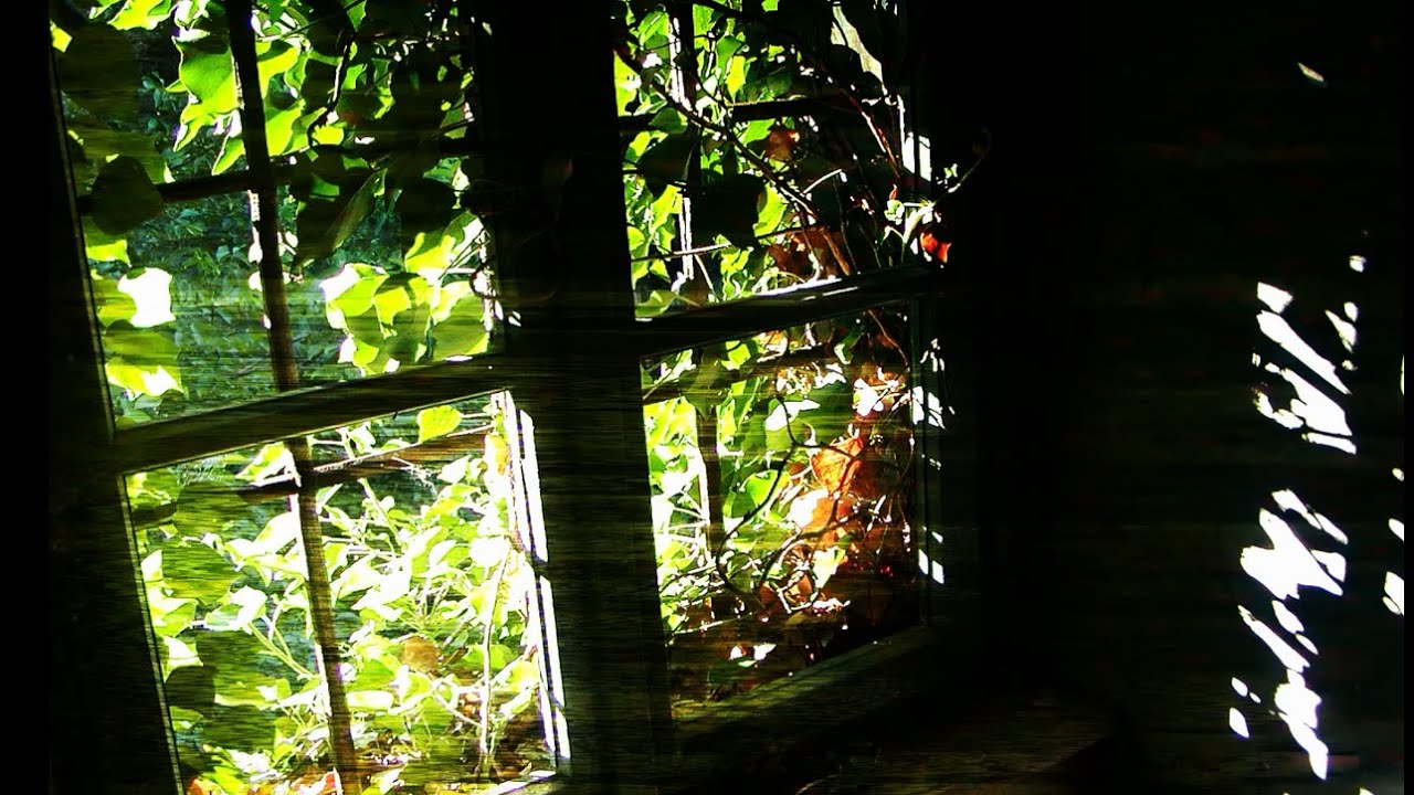 Green Blaze - Dusty Windowsills