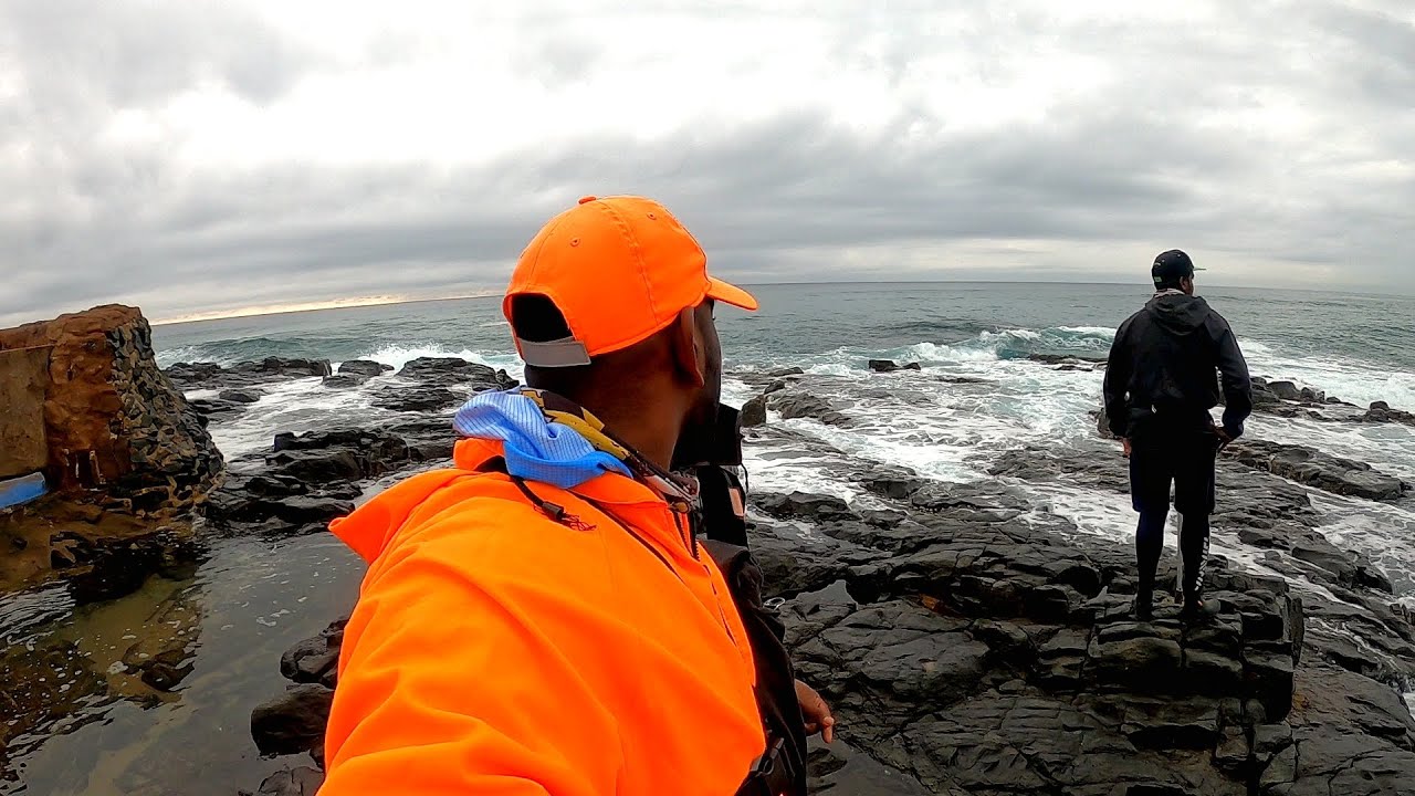 Fun Fishing Frenzy- Fishing for Brusher and Bronze Bream, [Mussel Bait Demo]