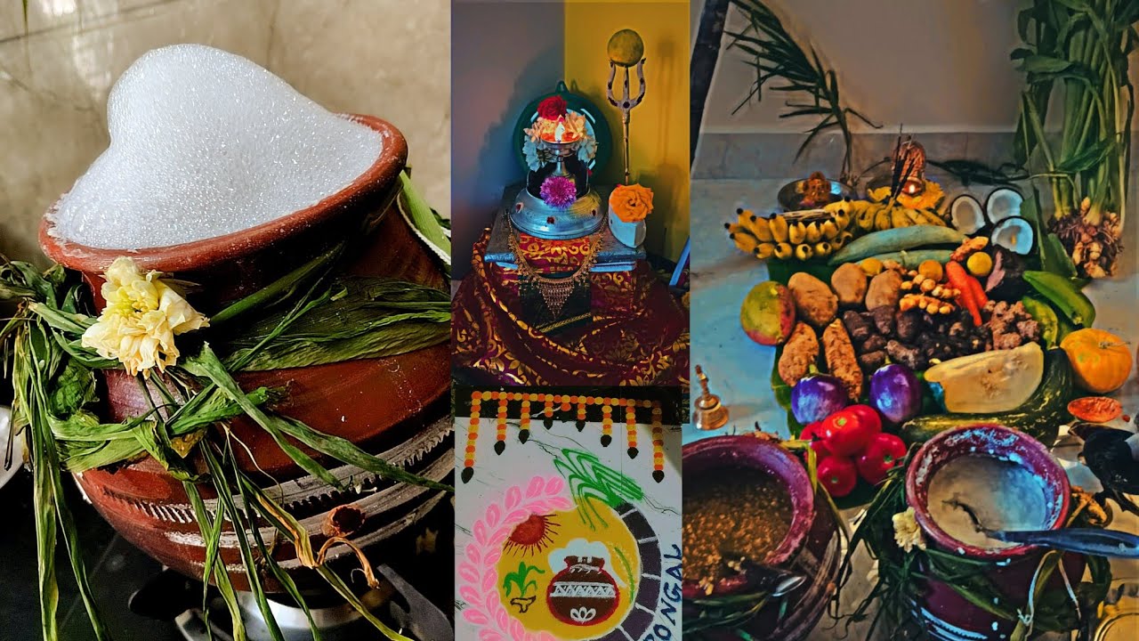 எங்கள் வீட்டு பொங்கல் 2026💗✨