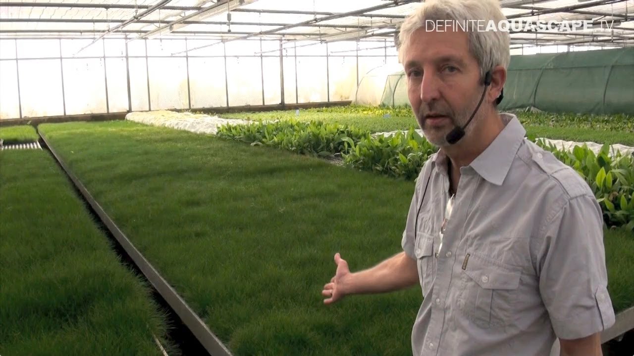 Visit to Dennerle greenhouses - part 1
