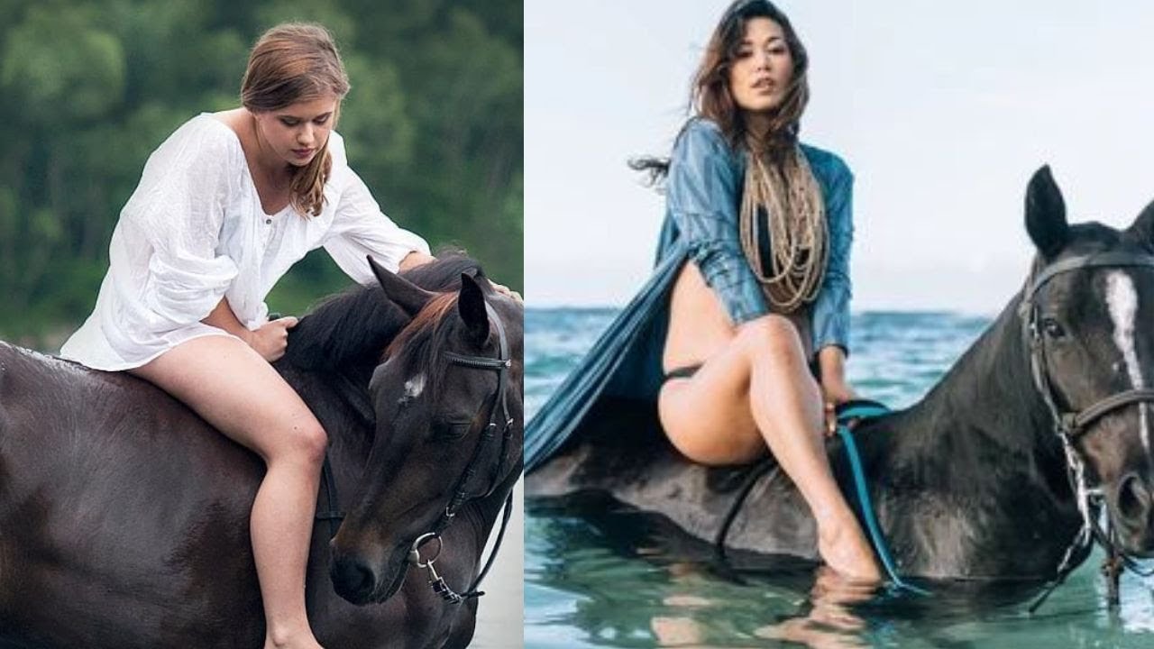 Most Beautiful  Arabian Horse  riding #31 #horse #cutehorse #horselover