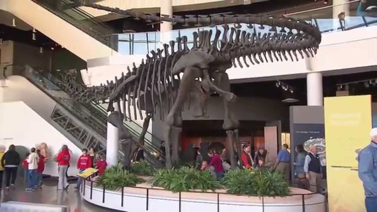 Discovery Park of America | Tennessee Crossroads | Episode 2801.1