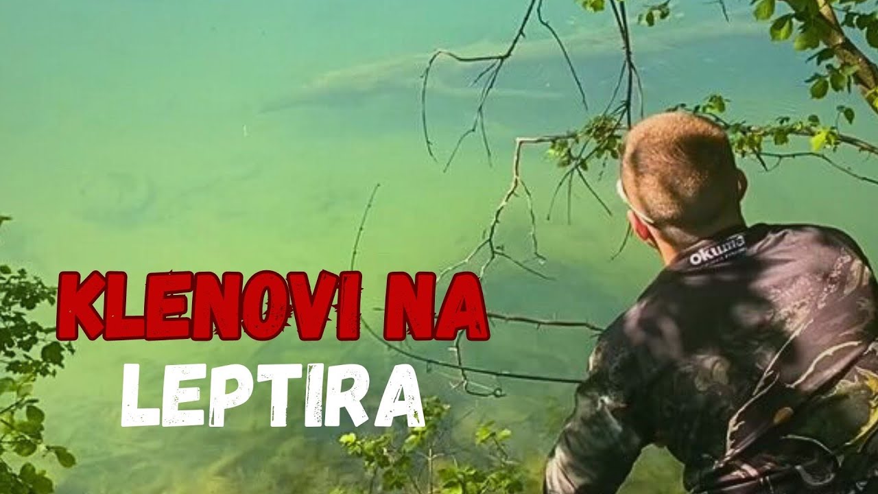 Pecanje Klena u proljeće. Varalicarenje leptir varalicama !