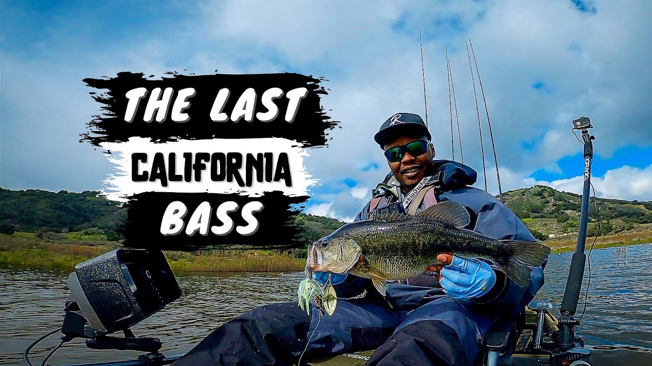 My Last Bass in California ft. Kayak Ditch Day | Lopez Lake