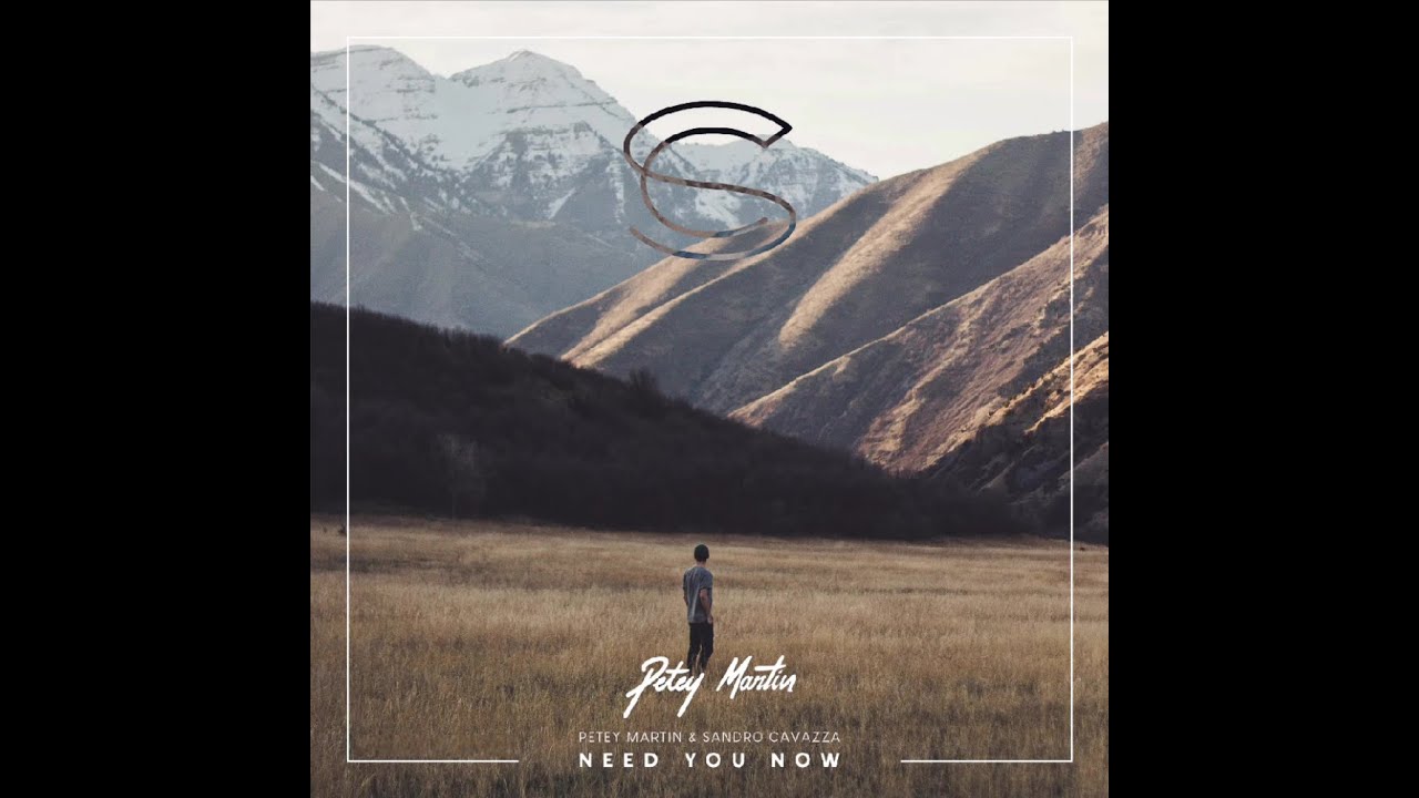 Petey Martin - Need You Now (ft. Sandro Cavazza)