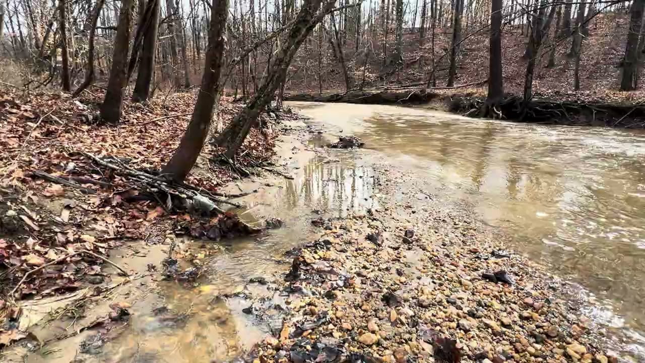 Bonito Rio en wooudches Virginia 