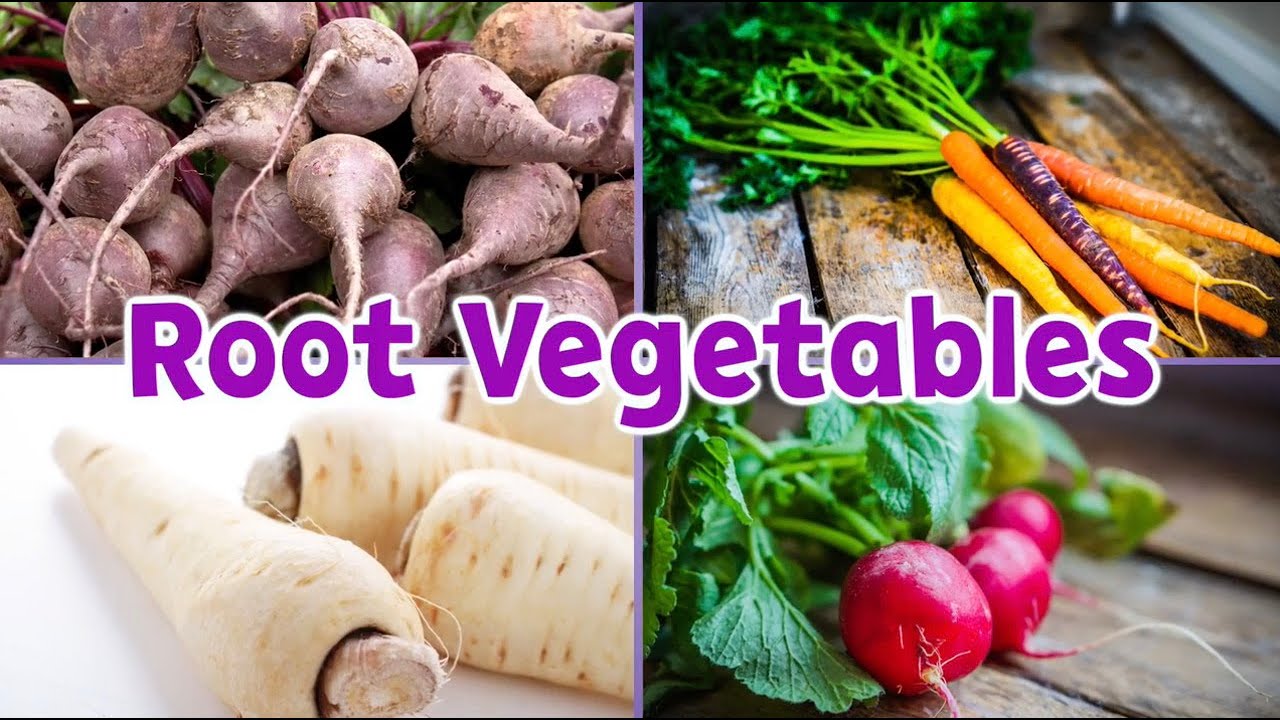 Root Vegetables Nutrition & Activities - Elementary Health and Wellness | Let's Learn GA!
