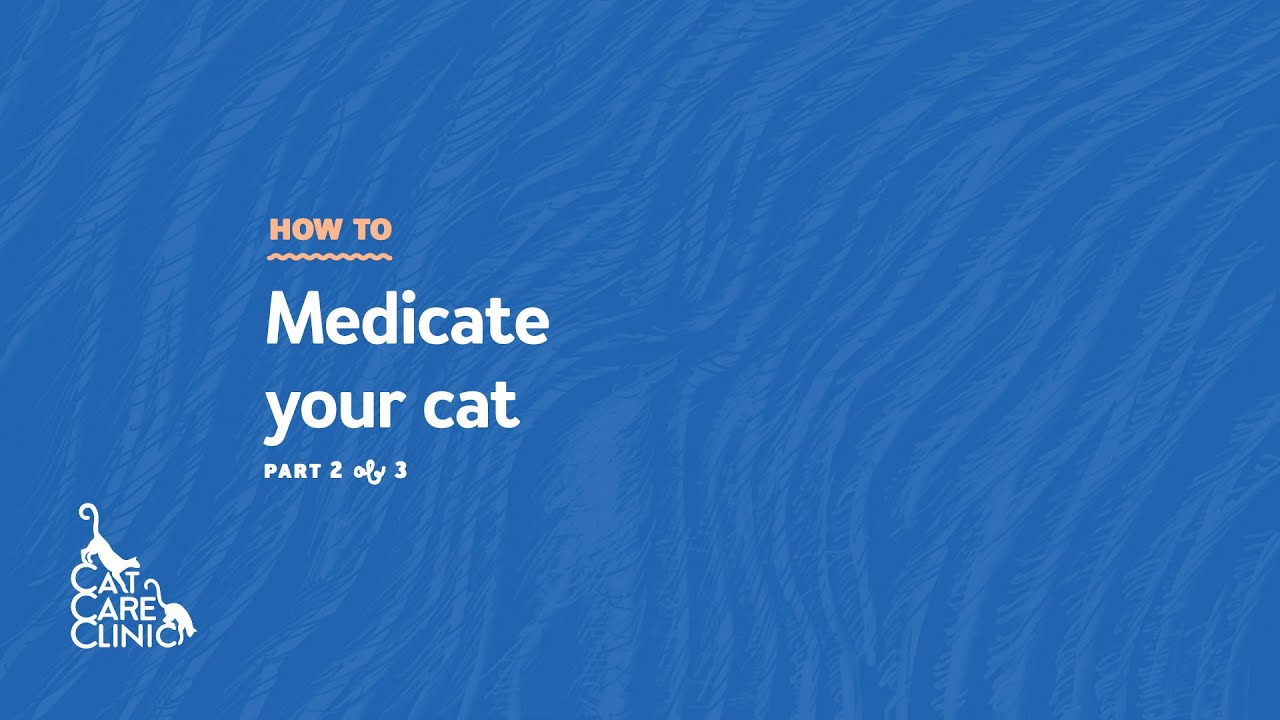 How to Medicate your Cat Part 2 of 3 (Cat Care Clinic | Madison, WI)