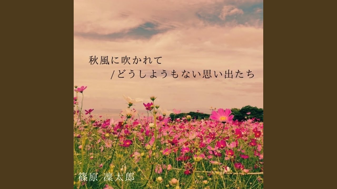 どうしようもない思い出たち