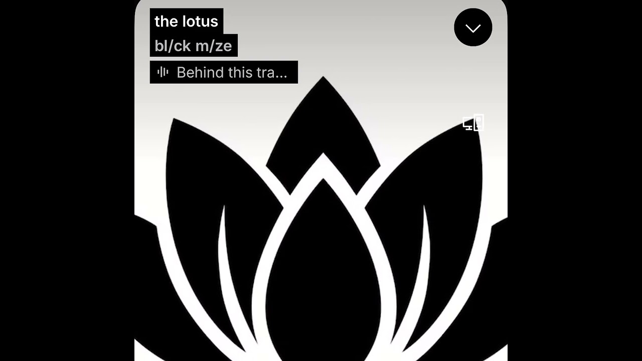 the lotus 
