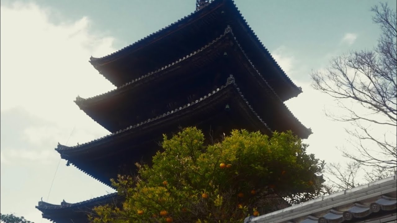 My Japan Trip 2023 ( Tokyo - Kyoto - Osaka / Vintage shopping, meeting friends & doing things.