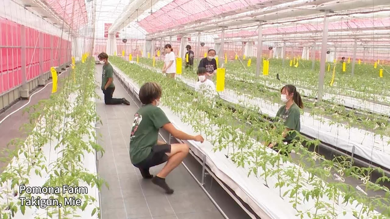 The SDGs Special Feature Key: People Charting Our Future _Channel JAPAN ＃28/2022