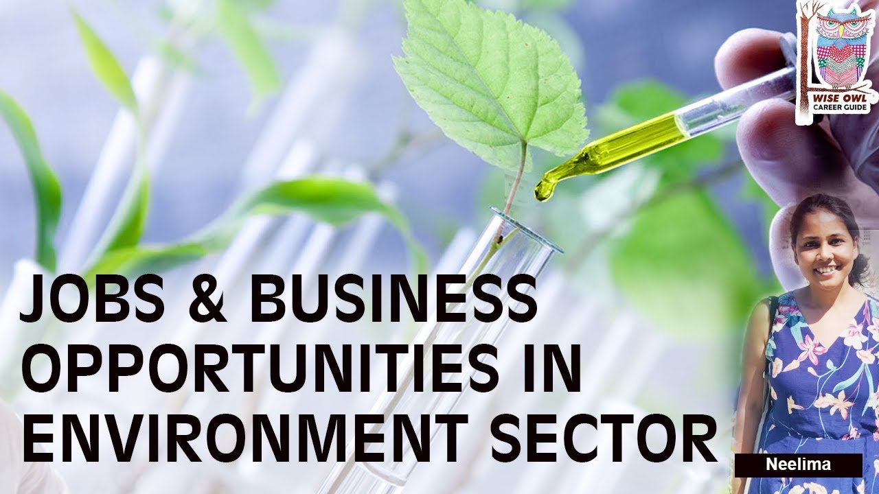 Jobs & Business opportunities in Environment sector #careertips #careerguidance #wiseowl