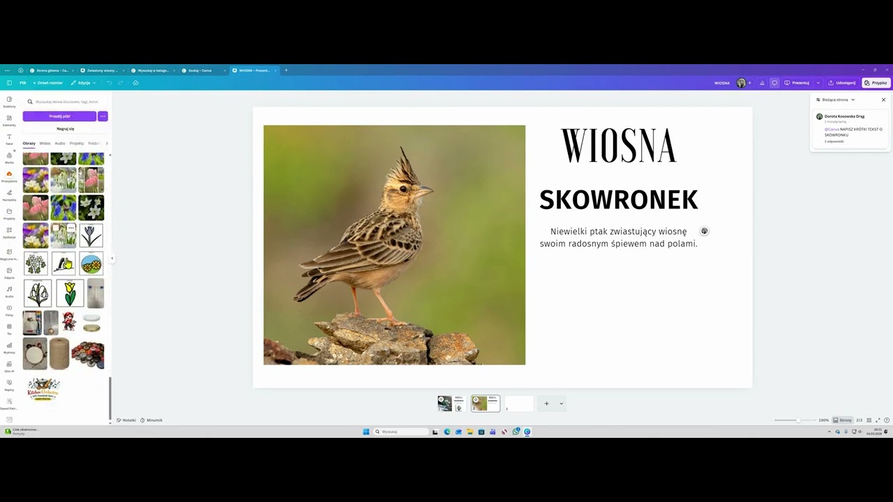 Karty pracy i prezentacja z Canva