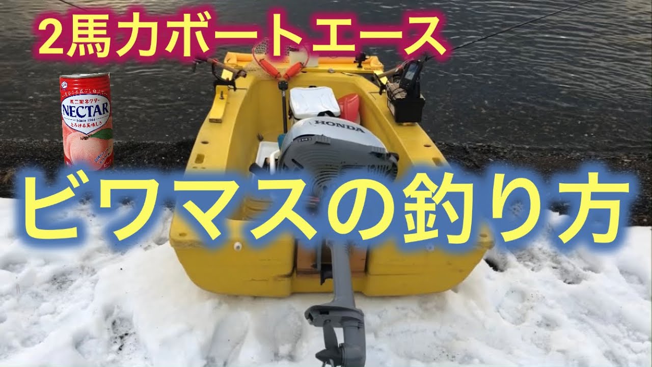 【2馬力ボート釣り】『幻の魚ビワマス琵琶鱒』をトローリングで狙う‼️仕掛けから釣り方まで徹底解説