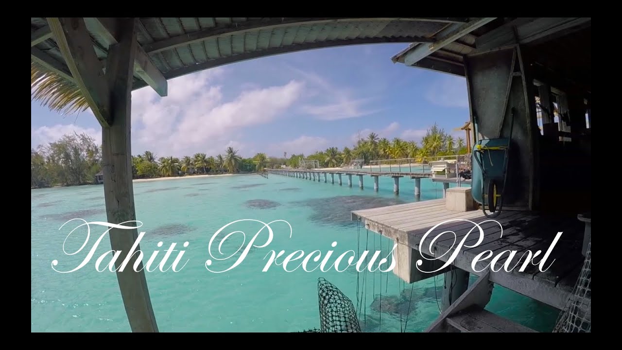 Fakarava Tahiti Precious Pearl